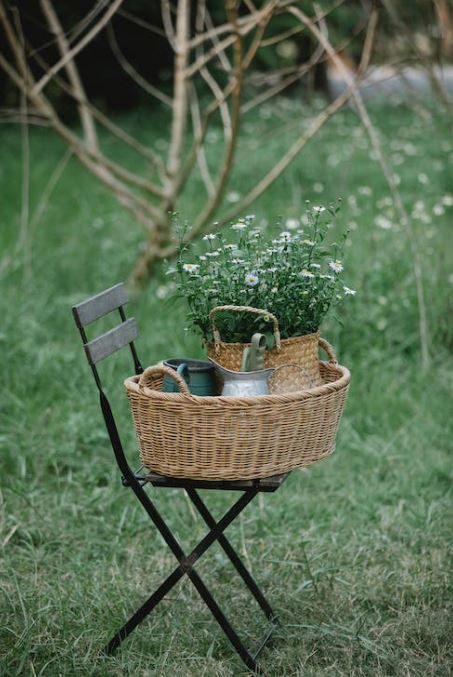 aménagement jardin pas cher