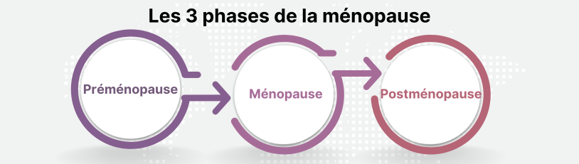 phases de la ménopause